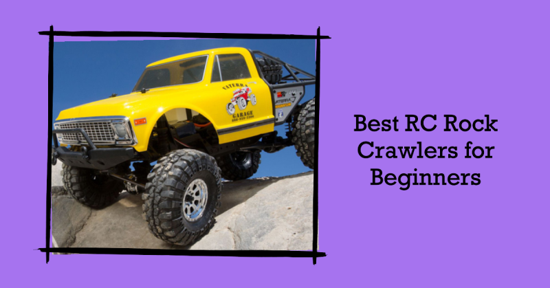 Best RC Rock Crawlers for Beginners in 2024