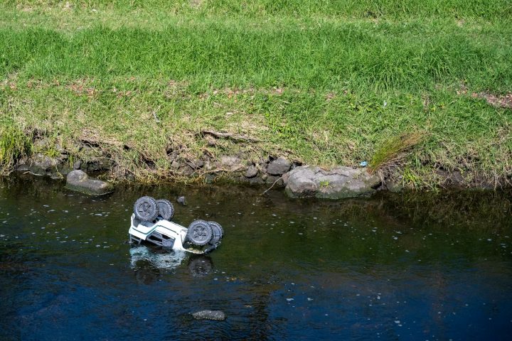 RC Cars for Dogs to Chase